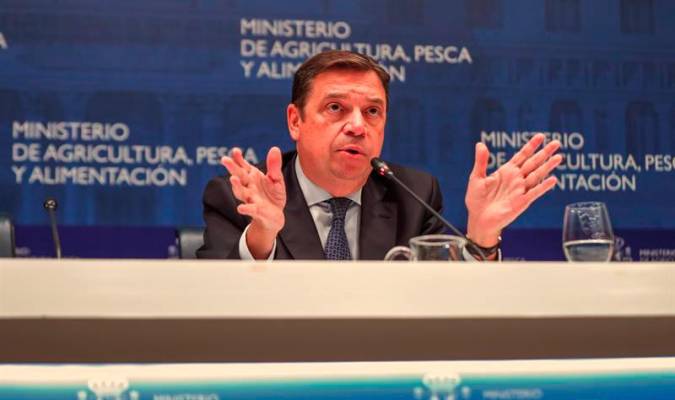 El ministro de Agricultura, Pesca y Alimentación en funciones, Luis Planas. / EFE