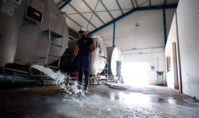 Los ganaderos tirarán 400.000 litros de leche al día hasta un nuevo acuerdo
