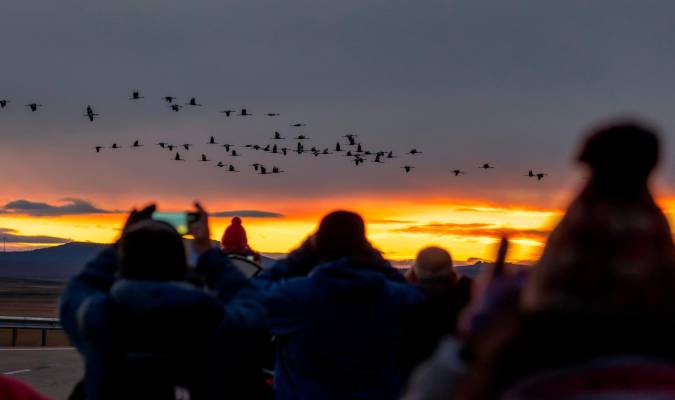 Personas observando la llegada de miles de aves migratorias. EFE/ Antonio García/Archivo