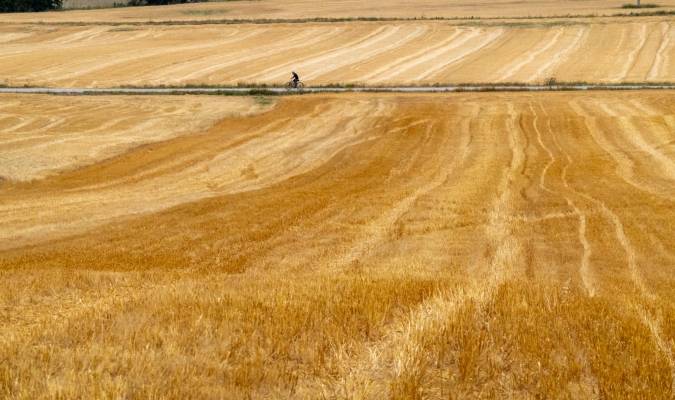 Un ciclista pasea entre campos de cereal recién cosechados este viernes. EFE/David Aguilar