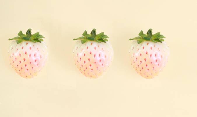 Pineberry, la fresa blanca con sabor a piña