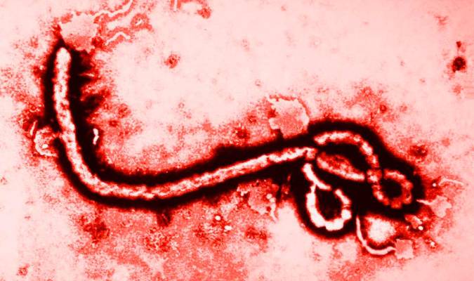 «Zona caliente»: Otro virus que nos quiere destruir