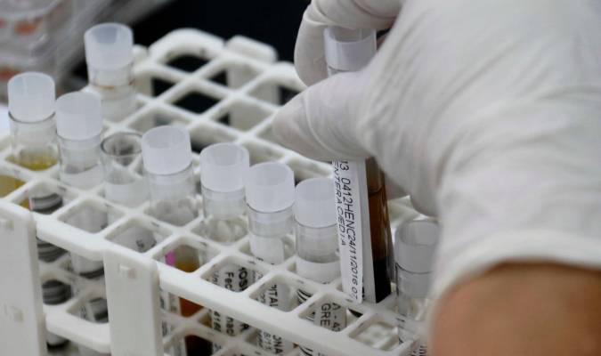 Fotografía de archivo de varias muestras de sangre en un laboratorio. EFE/Andrés Cristaldo Benítez
