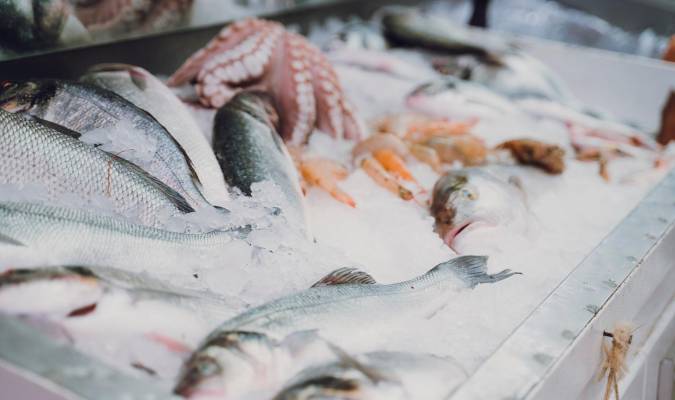 El pez limón: un pescado de temporada, sano y económico