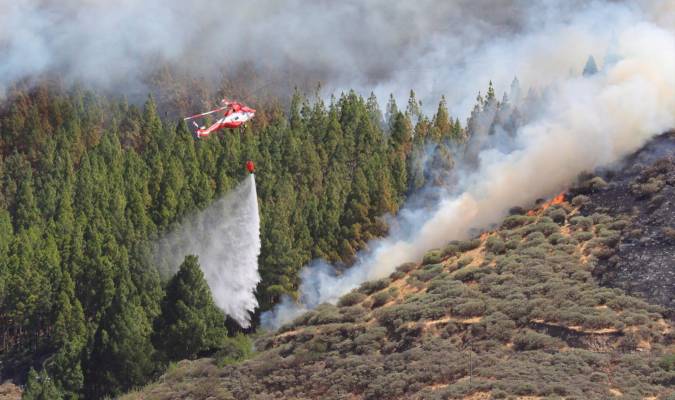 El incendio de Gran Canaria afecta a 900 hectáreas de tres municipios