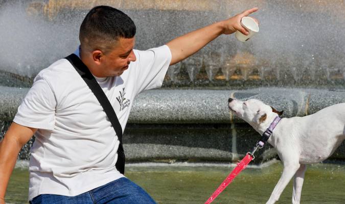 Andalucía tendrá el primer cementerio público de mascotas de España