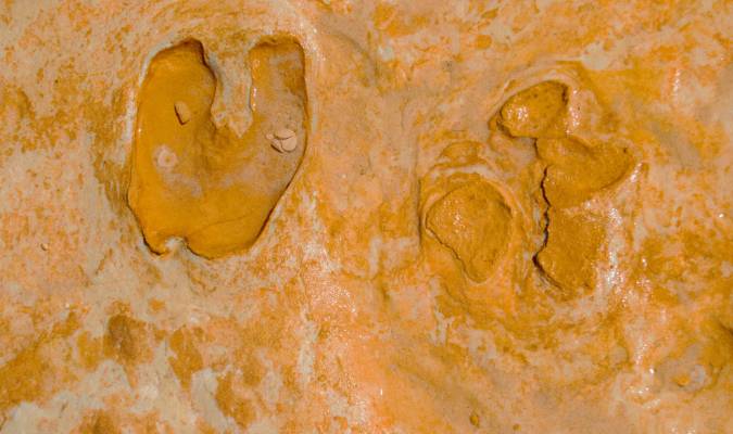 Imagen de parte de las huellas fósiles halladas. / El Correo