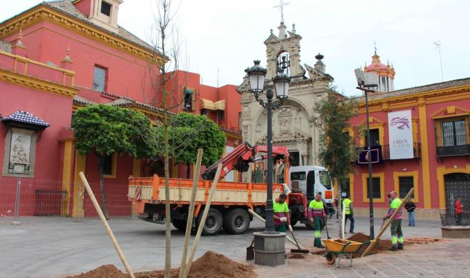 Arranca la plantación de los nuevos árboles en la plaza de San Lorenzo