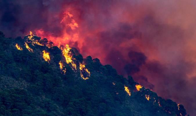 Vista del incendio forestal de Pujerra (Málaga). EFE/Daniel Pérez