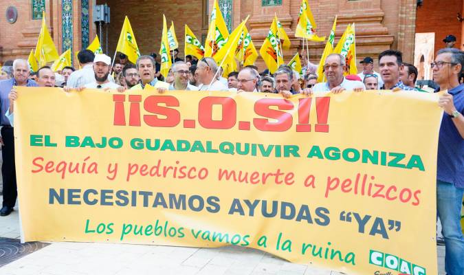 Manifestación de agricultores del Bajo Guadalquivir bajo el lema 'Asfixiados por la sequía' frente a la sede de la Delegación del Gobierno en Andalucía en la Torre Sur de la Plaza de España. / E.P.