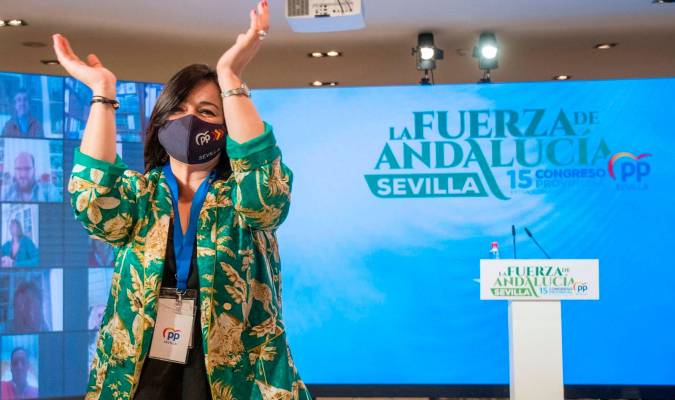 Virginia Pérez revalida el cargo con el fin de «vertebrar» el PP