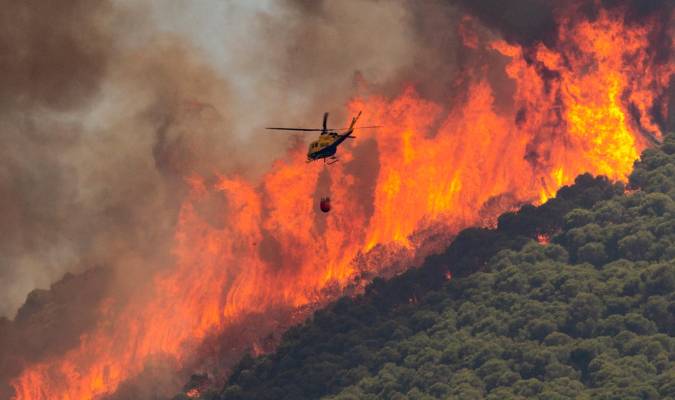 La contaminación por fuegos forestales se vincula al riesgo de suicidio