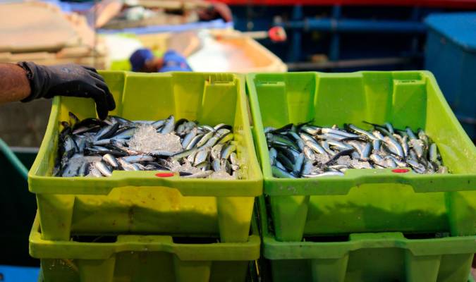 La UE acuerda un reparto de pesca que duplica la merluza sur para España