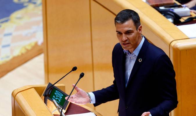 El presidente del Gobierno, Pedro Sánchez, interviene en el pleno del Senado.EFE/ Rodrigo Jiménez