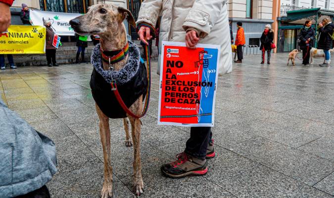 Animalistas se manifestan contra la exclusión de los perros de caza de la ley de bienestar