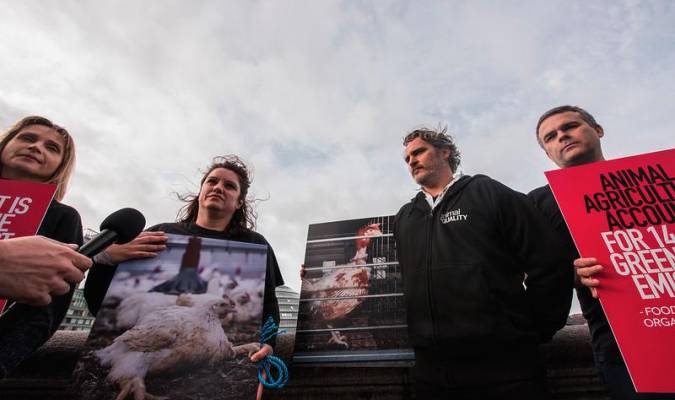 Joaquin Phoenix protesta contra el impacto medioambiental de la ganadería industrial 