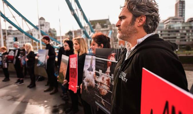 Joaquin Phoenix protesta contra el impacto medioambiental de la ganadería industrial 