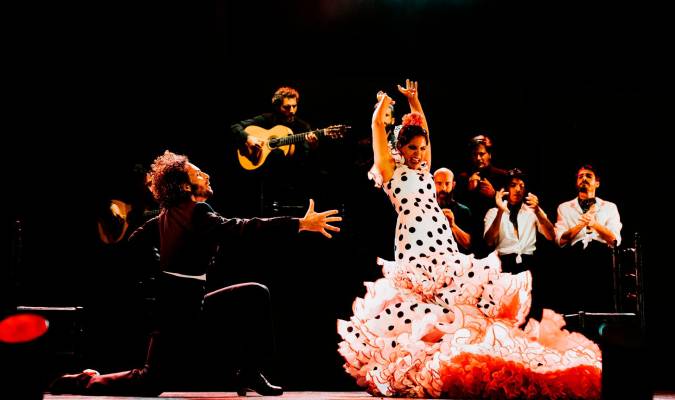 Los flamencos y sus complejos