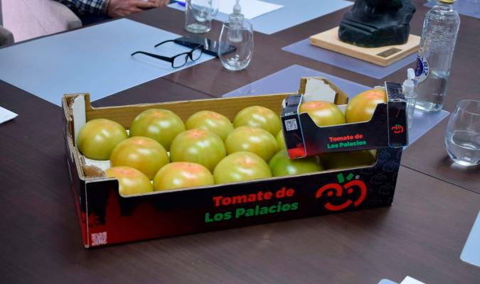 Los Palacios produce ya un millón de kilos menos de tomate por la sequía