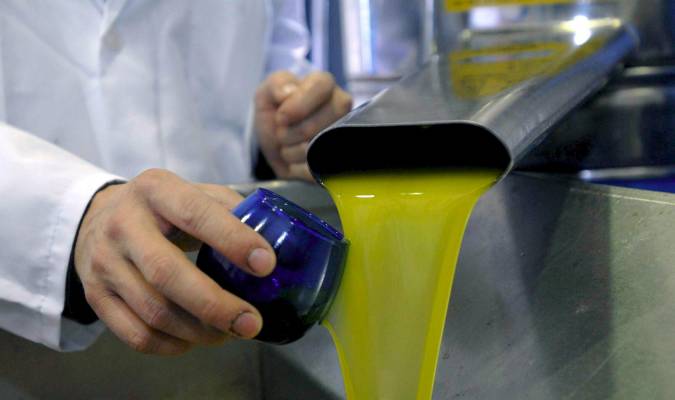 Un nuevo aceite de oliva creado por el CSIC resulta útil para prevenir la Diabetes Mellitus de tipo 2