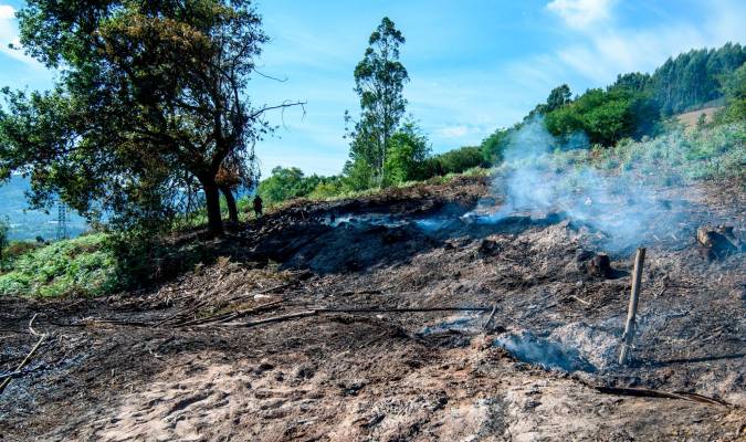 Mueren en el incendio de Basauri dos hermanos que quemaban rastrojos