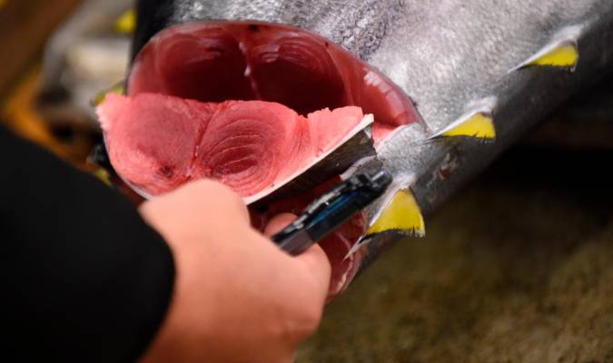 Un atún alcanza los 257.000 euros en la primera subasta del año