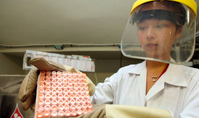  Foto de archivo que muestra a una investigadora trabajando con células madre del cordón umbilical. EFE