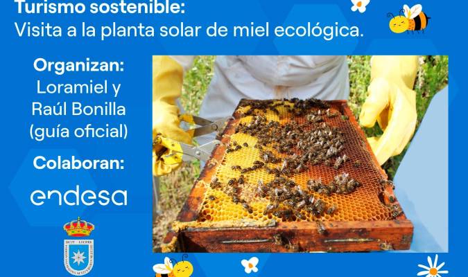 El apiario solar de Carmona abre por primera vez sus puertas al turismo
