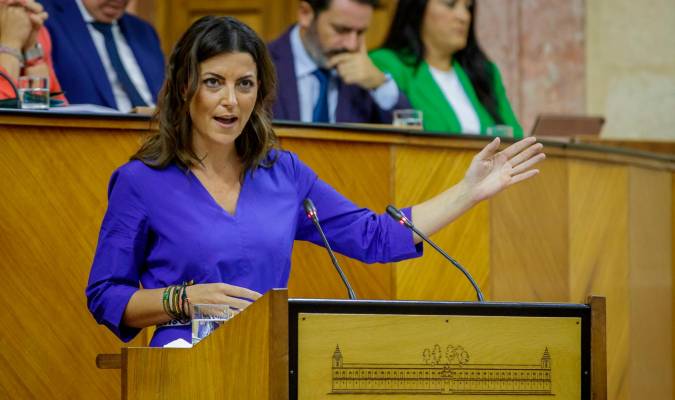 Macarena Olona pone fin a su etapa política por motivos de salud