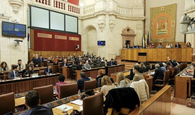 Andalucía aprueba sus presupuestos para 2020 gracias al apoyo de Vox
