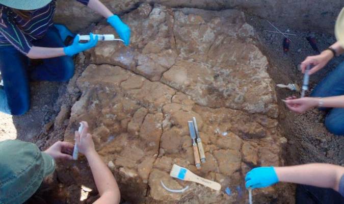 Descubrimiento arqueológico «excepcional» en Valencina 