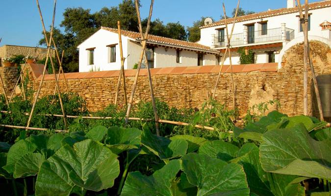 En la finca Algaba de Ronda se puede pernoctar en casas concebidas como ejemplo de arquitectura rural, y todo lo que se come procede de la agricultura ecológica que allí se cultiva.