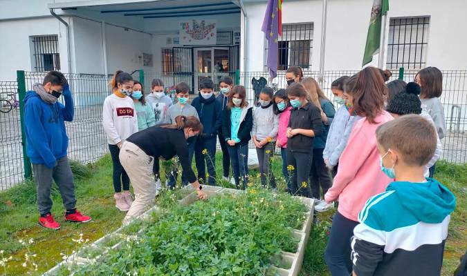 El colegio Cruz del Campo de Sevilla vence al coronavirus y logra otro Erasmus Plus 