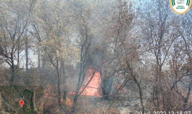 Doñana, otra vez amenazada: arde el Vado del Quema