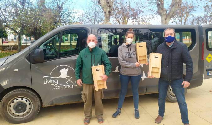 Operarios encargados de la instalación de cajas-refugio para murciélagos en Coria del Río