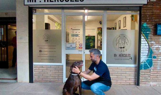 Una peluquería canina sevillana se ofrece a lavar gratis a los perros guía