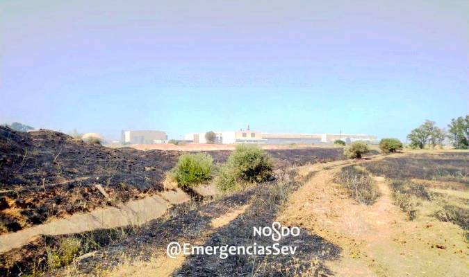 Tres bomberos heridos en un incendio de pastos en Torreblanca