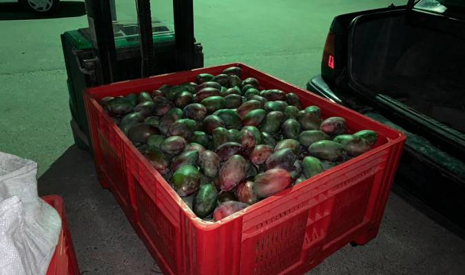 Detenidos con cerca de 700 kilos de mangos robados en Arahal