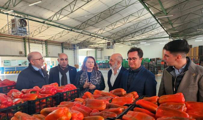  La consejera de Agricultura de la Junta de Andalucía, Carmen Crespo, visita las instalaciones de Agroponiente en El Ejido (Almería). / Junta de Andalucía
