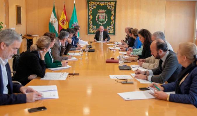 Comisión de seguimiento del Covid-19 de la Diputación de Sevilla. / El Correo