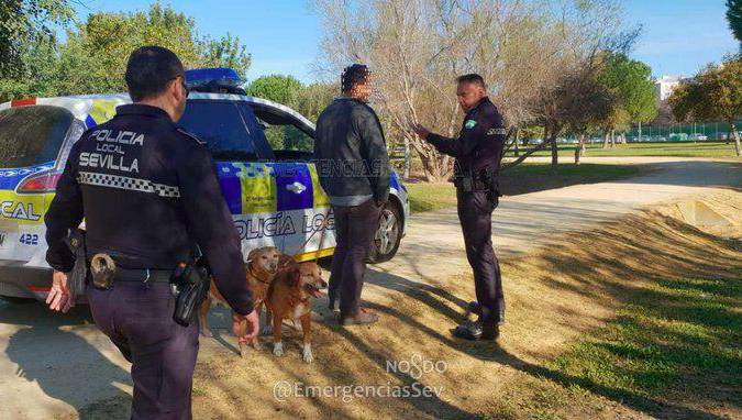 Más de 300 multas por no recoger los excrementos caninos de las calles de Sevilla