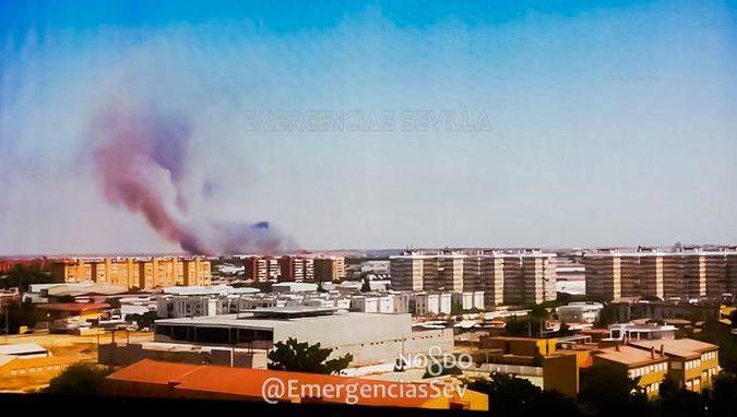 El incendio tuvo lugar en una zona de pastos. / Emergencias Sevilla
