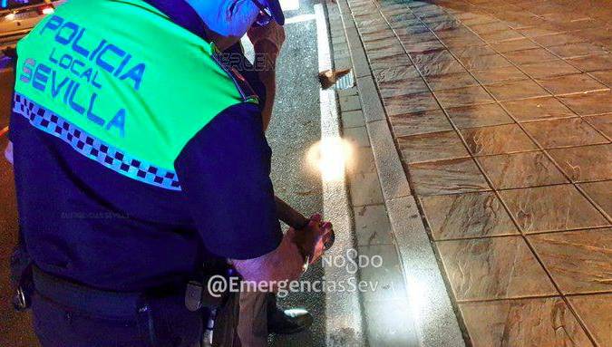 La Policía Local de Sevilla hace las pericias en el lugar del accidente / Emergencias Sevilla