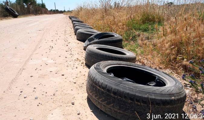 Ecologistas retiran más de 300 neumáticos viejos usados tirados en el campo que contaminaban el Medio Ambiente
