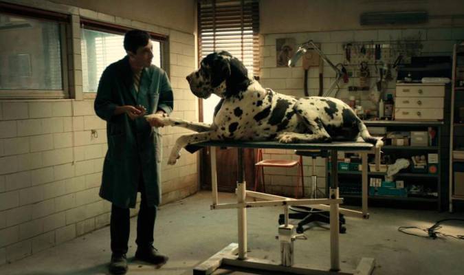 Marcello Fonte interpreta en ‘Dogman’ al dueño de una peluquería canina.