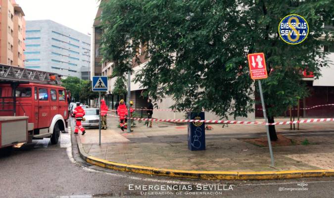 Bomberos intervienen en Ramón Carande ante el riesgo de caída de un árbol por fuertes vientos