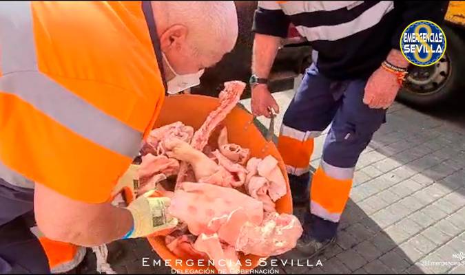 Intervienen 450 kilos de carne en mal estado en un supermercado de Sevilla