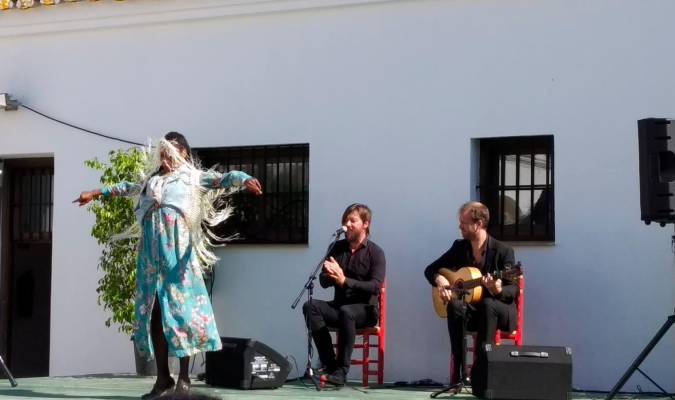 Actuación en el Parque del Alamillo el Día de Andalucía de 2019. / Junta de Andalucía