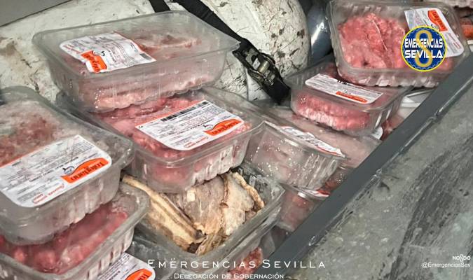 Intervenidos más de 100 kilos de carne en «pésimas condiciones» durante el concierto de Carrasco