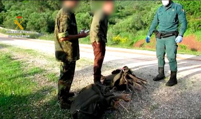 Investigan a dos hombres por robar 21 cuernas de venado en El Pedroso